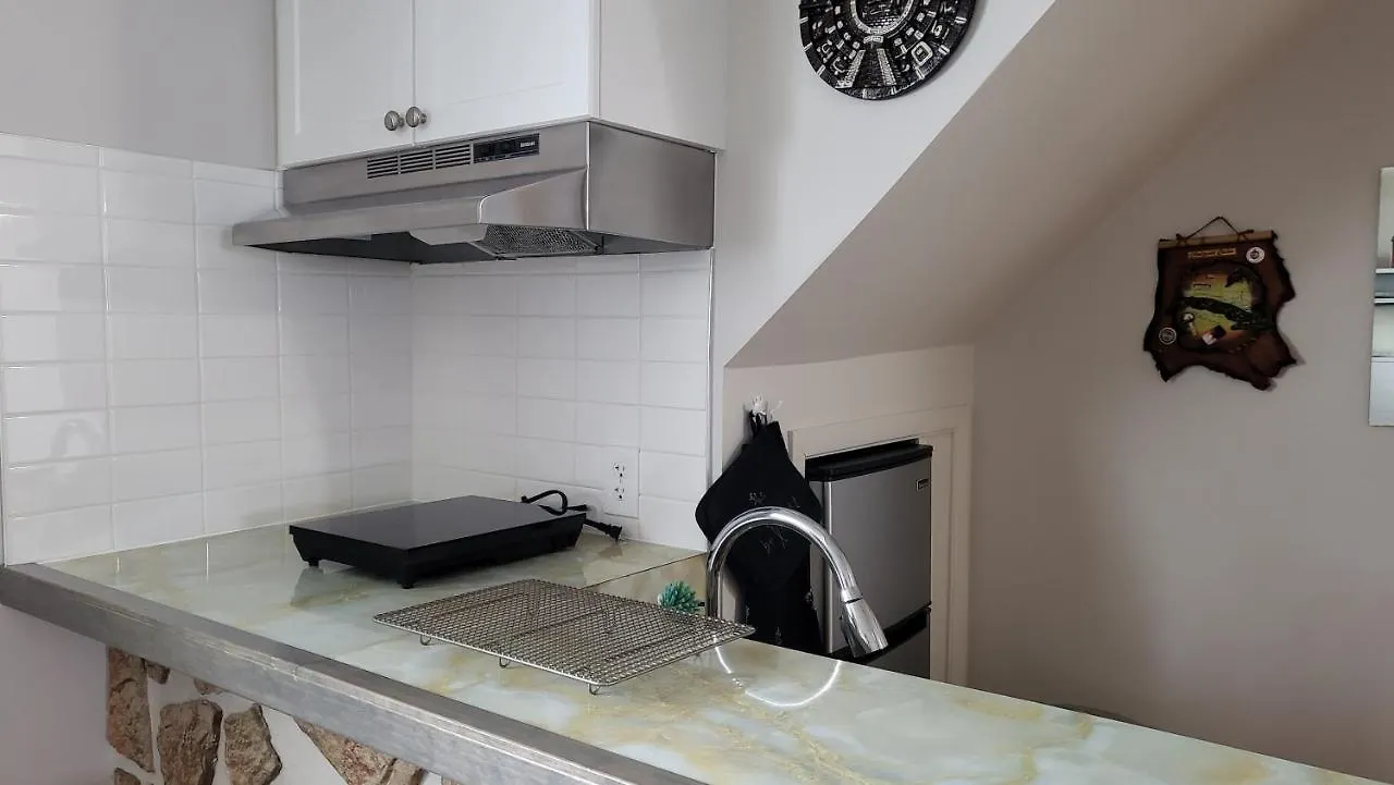Private Trendy Studio With Fireplace Daire Ottawa Kanada